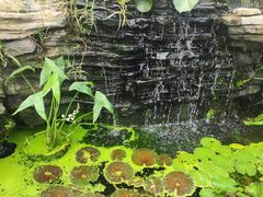 -国家植物园南园