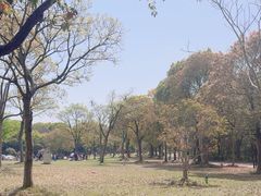 -上海吴淞炮台湾国家湿地公园