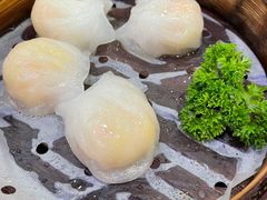 虾饺皇-澳门陈光记烧味饭店(南京德基广场店)