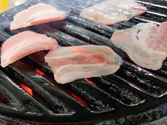 大槐树烤肉馆-大槐树烤肉馆