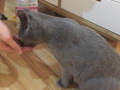 -壹人壹像工作室(购物公园店)