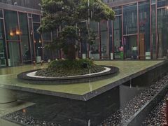 -上海崇明金茂凯悦酒店