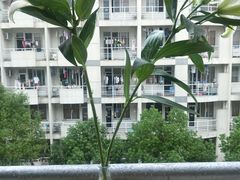 宿舍楼-苏州城市学院