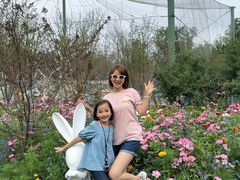 -水上乐园·欢乐世界