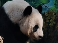-天津市动物园