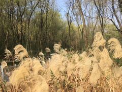 -西湖风景区-江洋畈生态公园