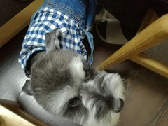 -仰生如卉推拿养生馆(酒仙桥店)