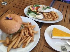-悉尼歌剧院