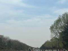 -汉长安城未央宫国家考古遗址公园