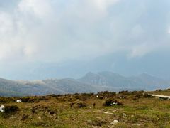 -灵山