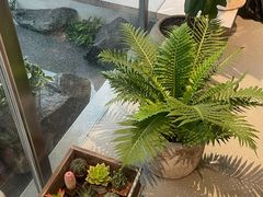 -喜茶(珠海华发商都店)