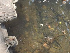 -京西十八潭风景区