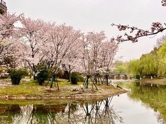 -堤角公园