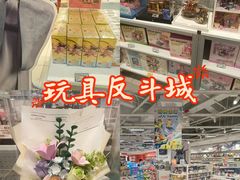 -TOYSRUS玩具反斗城(上海万象城店)