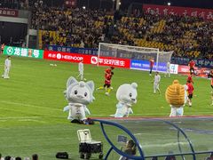 -中南南通体育会展中心