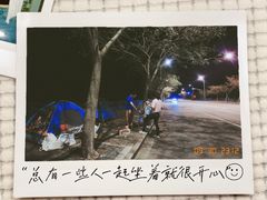 -南汇嘴观海公园