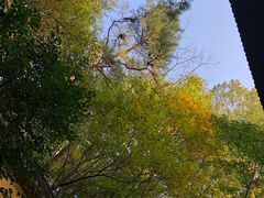 -九华山友谊土菜馆 小资餐厅