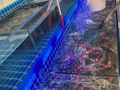 -春华海鲜城(广场西苑店)