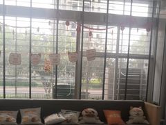 -pd派德宠物中心医院24H急重症·眼科中心·血液透析中心(嵩山北路店)