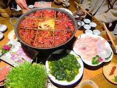-白乐天毛肚火锅馆(南滨路店)