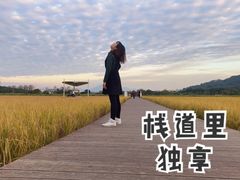 -艾米稻香小镇