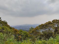 -广州市帽峰山景区