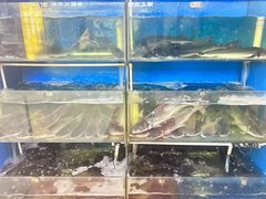 -滇香肴·云南菜蒸汽石锅鱼(云南北路店)