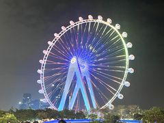-深圳湾公园(南山区)