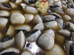 -顺德哥卜卜贝(旗舰店)