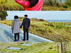 -七的湖·晚芳亭·阳澄湖农家菜·大闸蟹(莲花岛店)