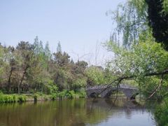 -渡海小渔村.老辈日照菜