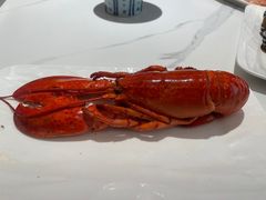 -神洲四海大酒楼(王府井澳门中心店)