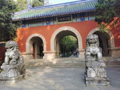 -灵谷景区