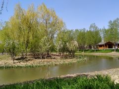 -东郊湿地公园