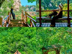-大岭沟猕猴桃谷风景区