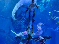 -波塞冬旅游度假区