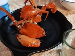 -莲花公园煎蟹(总店)