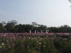 -广东花都香草世界旅游度假区