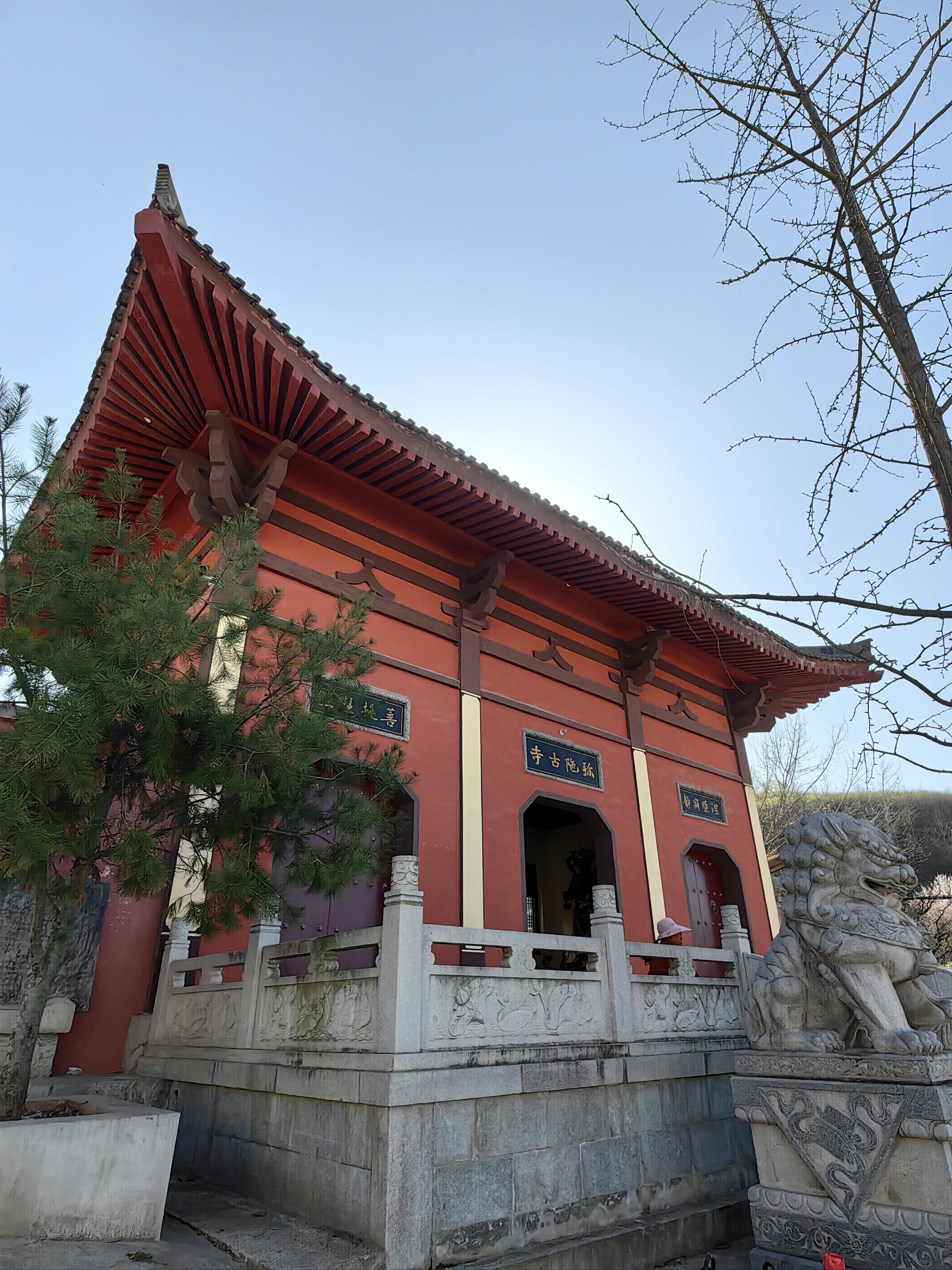 春风有信,花开有期,弥陀古寺玉兰开