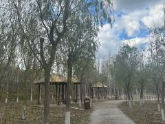-西青郊野公园