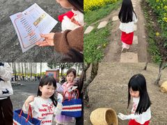 -乌村