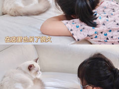 -lincat·猫舍(广州店)