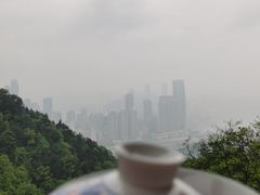 -涂山寺素食餐厅