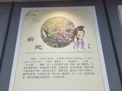 -李时珍纪念馆