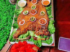 -前小桔亲子创意农场·草莓采摘·露营烧烤