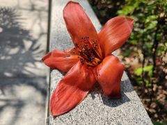 -烈士陵园(地铁站)