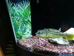 -上海海洋水族馆