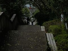 -重庆园博园