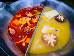 红颜花胶鸡锅-湊湊火锅·茶憩(石家庄万象城店)