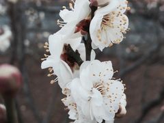 -鹫峰国家森林公园